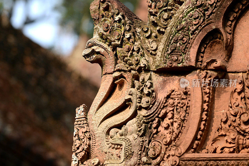 柬埔寨Banteay Srei红色砂岩寺庙的那加雕刻